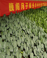 月子中心加盟